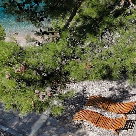 In With Sea View, Terrace, Air Conditioning, Wi-fi Apartment